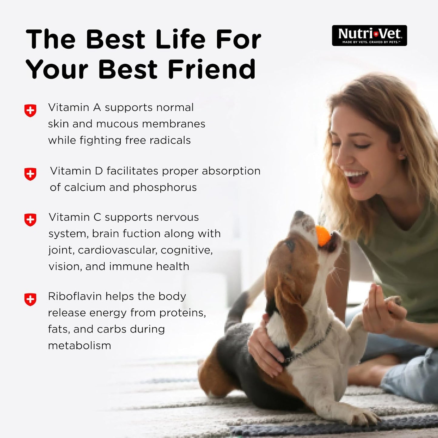 Nutri-Vet Senior Dog Chewable Vitamins - 120 Count - Essential Daily Support for Aging Dogs