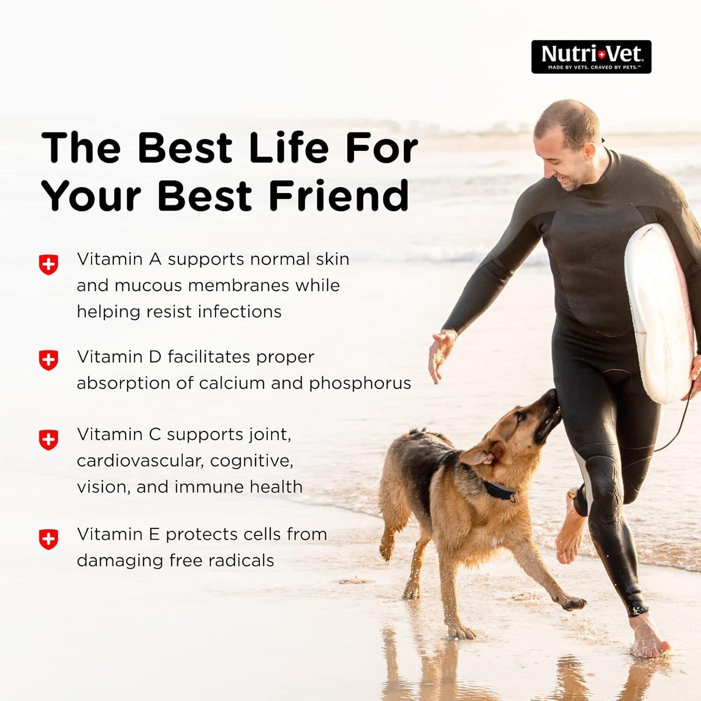 Nutri-Vet Senior Dog Vitamins - 120 Chewable Tablets for Daily Nutritional Support in Maintaining Peak Condition