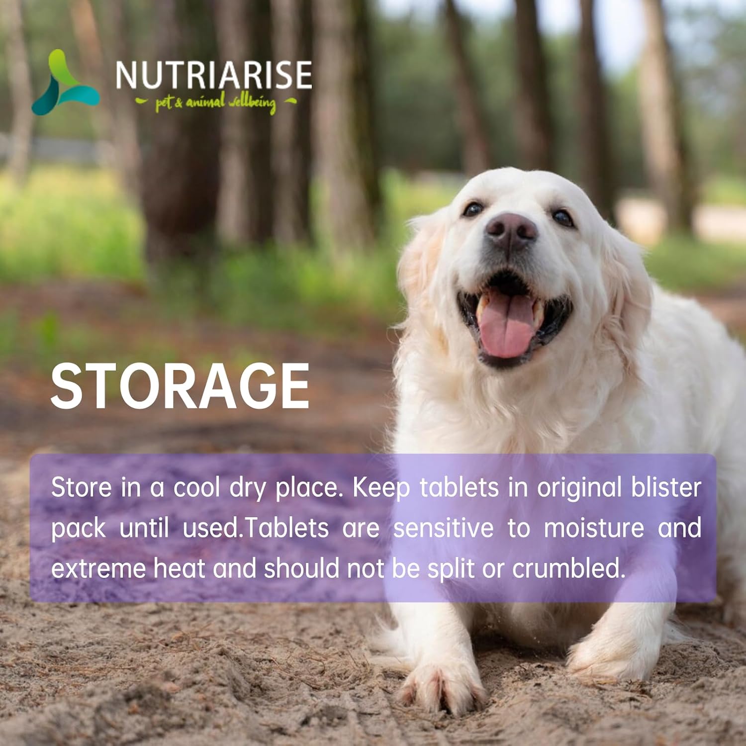 NUTRIARISE Liver Health Supplement for Medium & Large Dogs - 30 Tablets