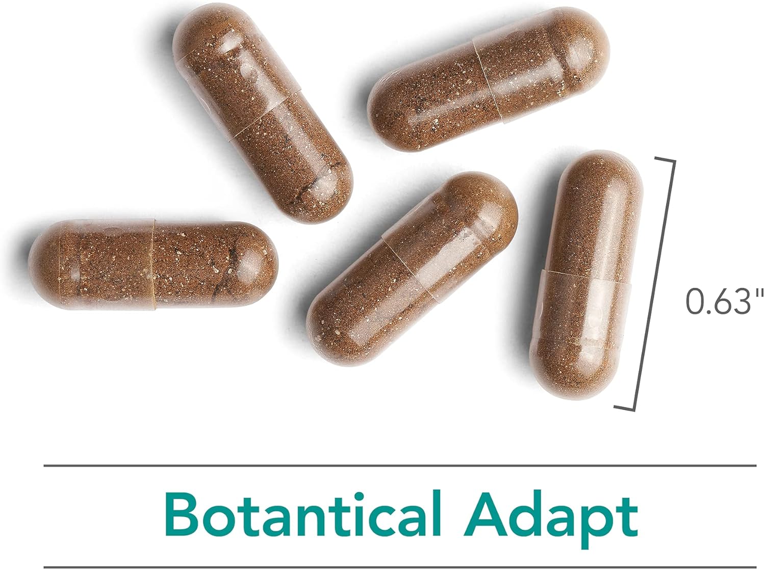 Nutricology Botanical Adapt Stress Support Supplement with Ashwagandha, Rhodiola, Holy Basil - 60 Capsules