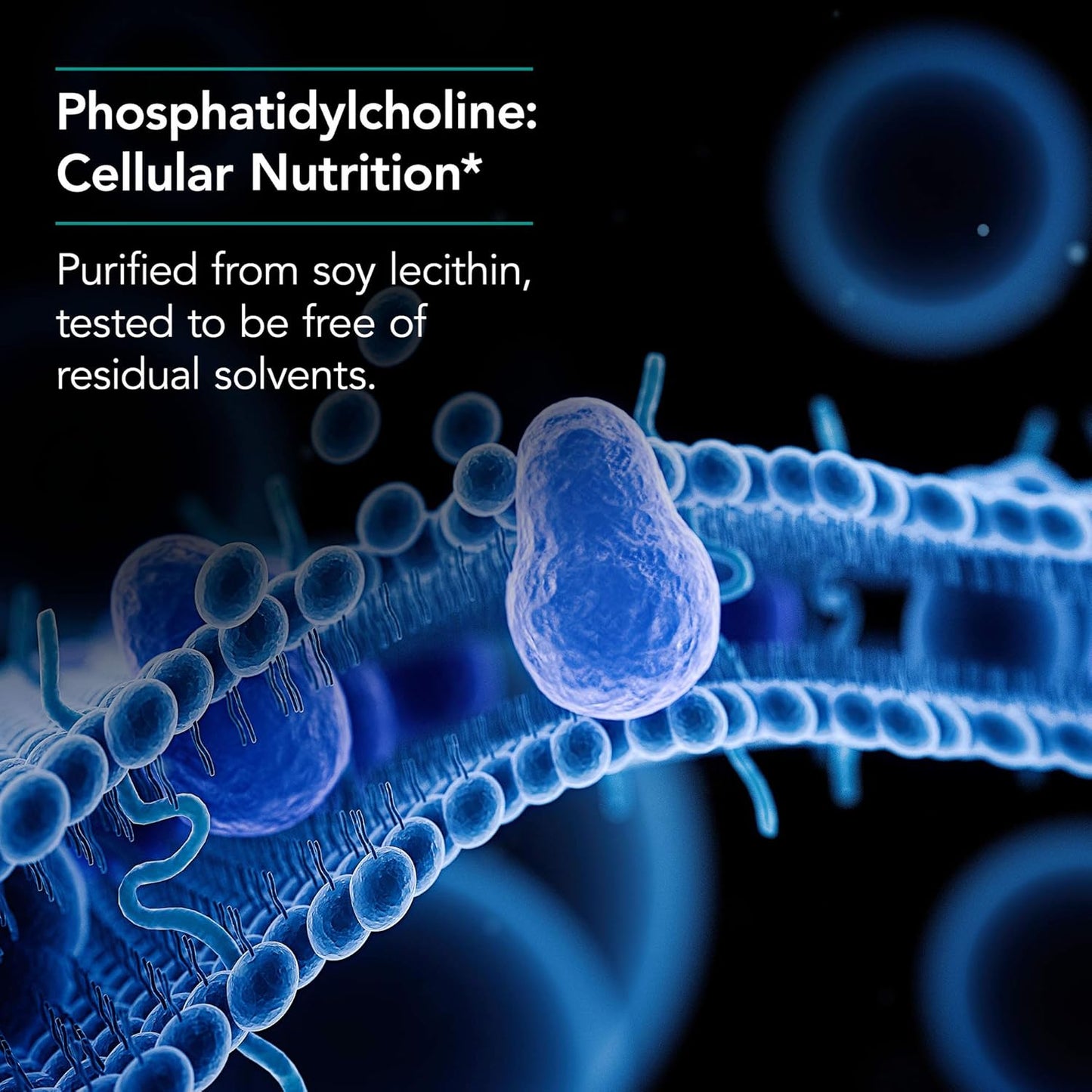 Nutricology Phosphatidyl Choline Supplement - Lecithin Capsules for Liver and Fat Digestion Support - 100 Count