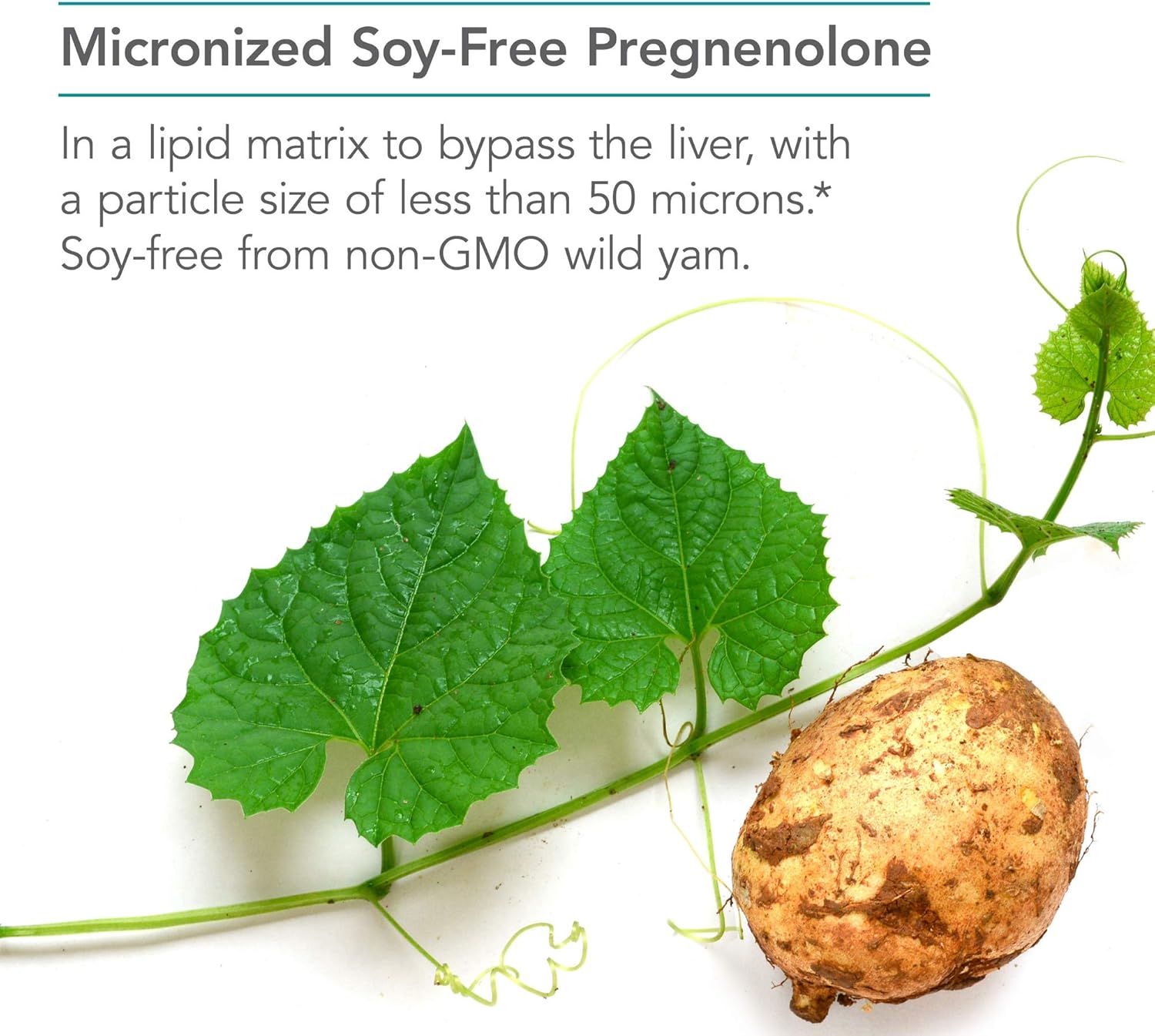 Nutricology Pregnenolone Supplement - 100mg Progesterone Tablets for Hormone & Stress Support, Non-GMO Wild Yam Derived