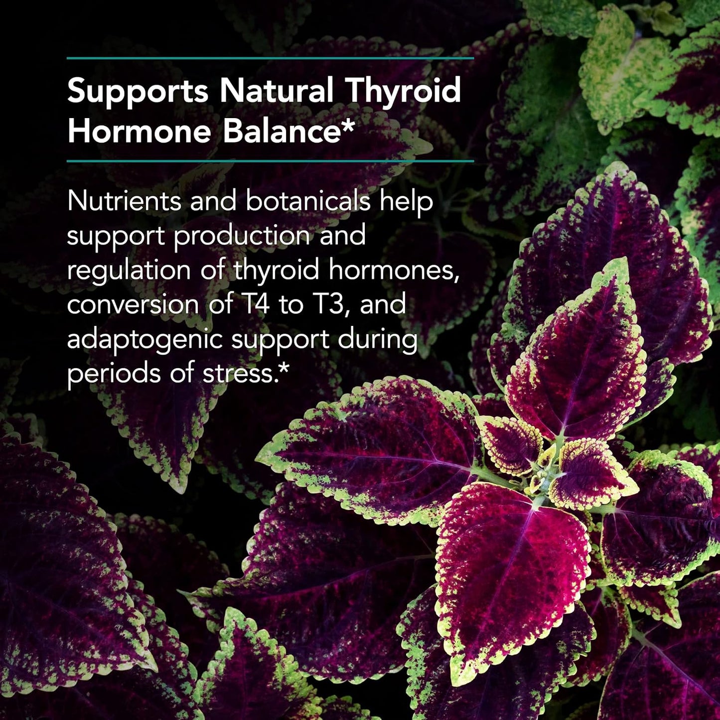 Nutricology Thyroid Nutrition with Iodoral - 60 Count Thyroid Support Supplement for Men & Women, Iodine Complex for Thyroid Health