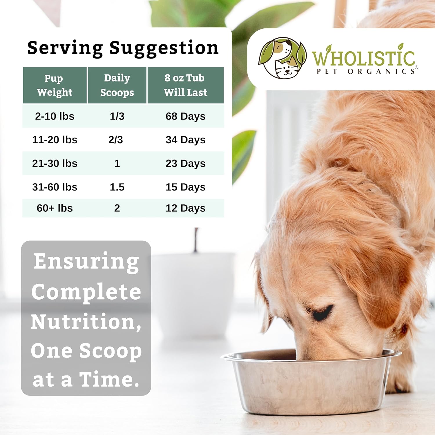 Nutrient-Rich Canine Complete Dog Multivitamin Powder - 8 Oz - Wholistic Pet Organics - Supports Immune System, Skin, Coat & Overall Health