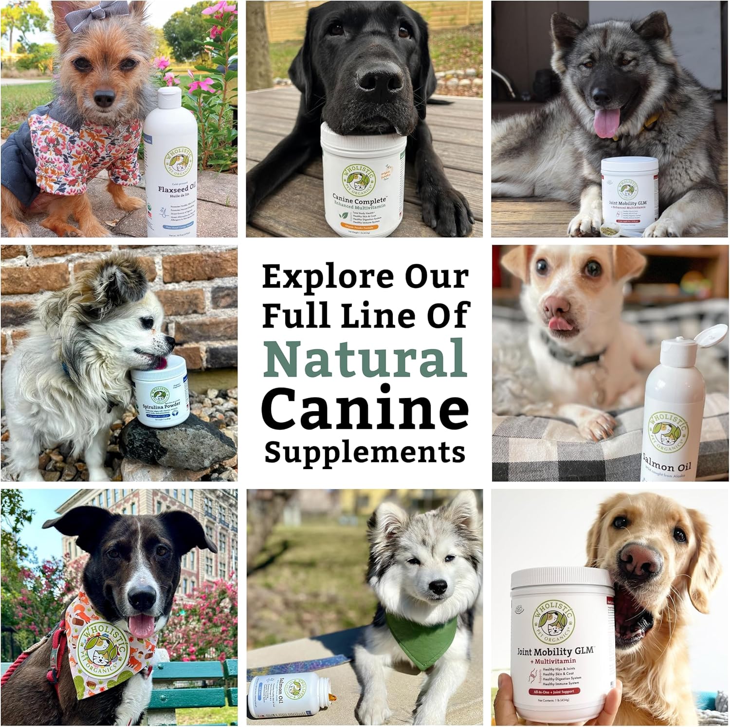 Nutrient-Rich Dog Multivitamin Powder for Immune System, Skin & Coat - Wholistic Pet Organics Canine Complete - 1 Lb Size