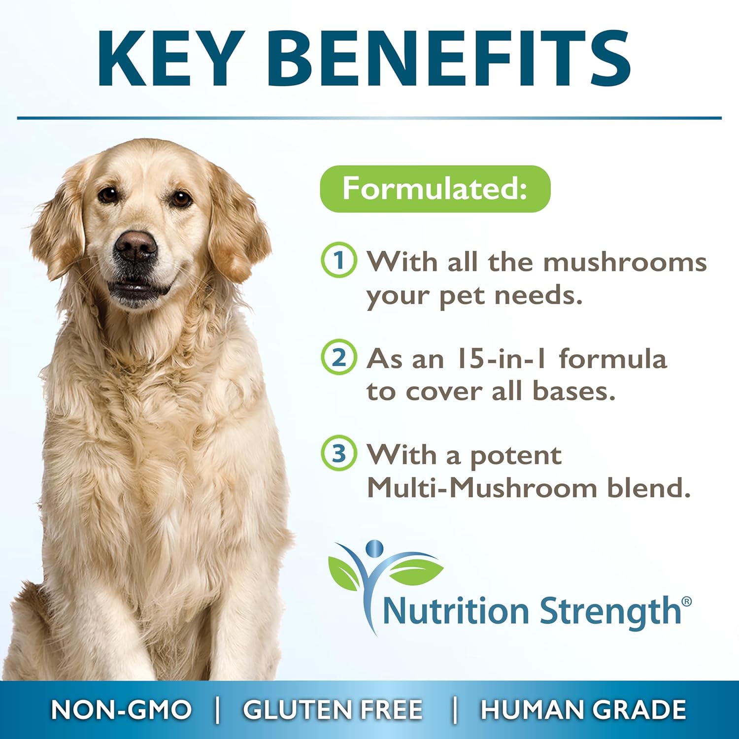 Nutrition Strength 15-in-1 Mushroom Supplements for Dogs - Turkey Tail, Lion's Mane, Reishi, Shiitake, Cordyceps, Chaga, Maitake, and More - 90 Tablets