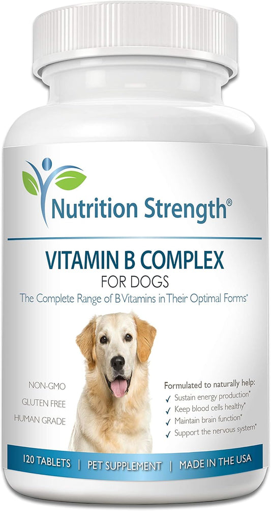 Nutrition Strength Dog Vitamin B Complex, Supports Blood Cell & Nervous System Health, Boosts Energy & Brain Function, 120 Chewable Tablets