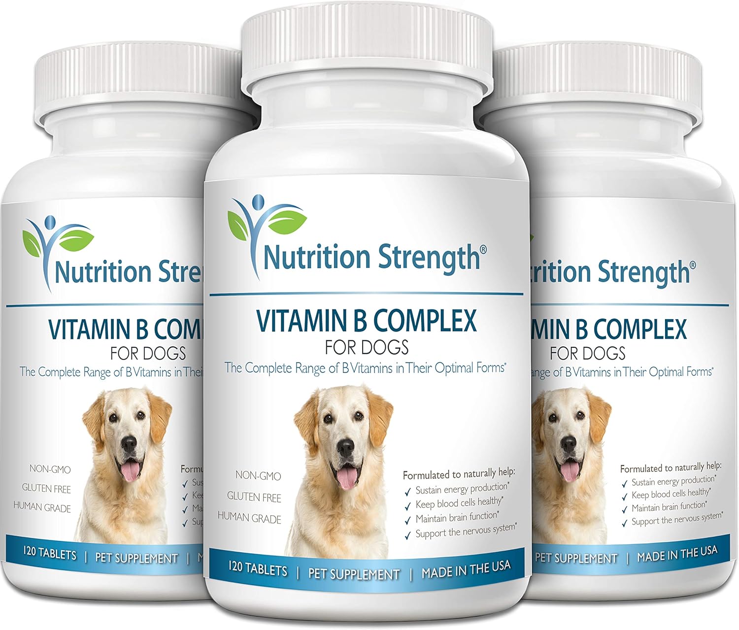 Nutrition Strength Dog Vitamin B Complex, Supports Blood Cell & Nervous System Health, Boosts Energy & Brain Function, 120 Chewable Tablets
