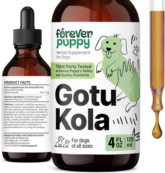 Nutritional Brain Supplement for Dogs - Gotu Kola Drops with Centella Asiatica Extract - Brain Health Support for All Breeds - 4 oz