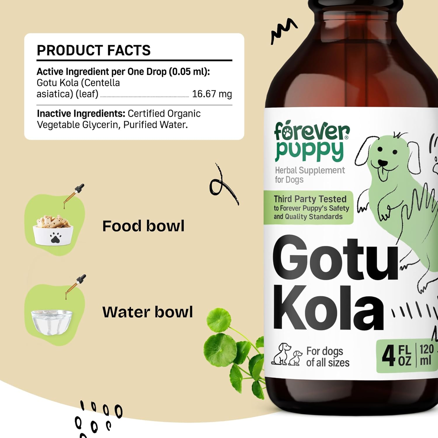 Nutritional Brain Supplement for Dogs - Gotu Kola Drops with Centella Asiatica Extract - Brain Health Support for All Breeds - 4 oz