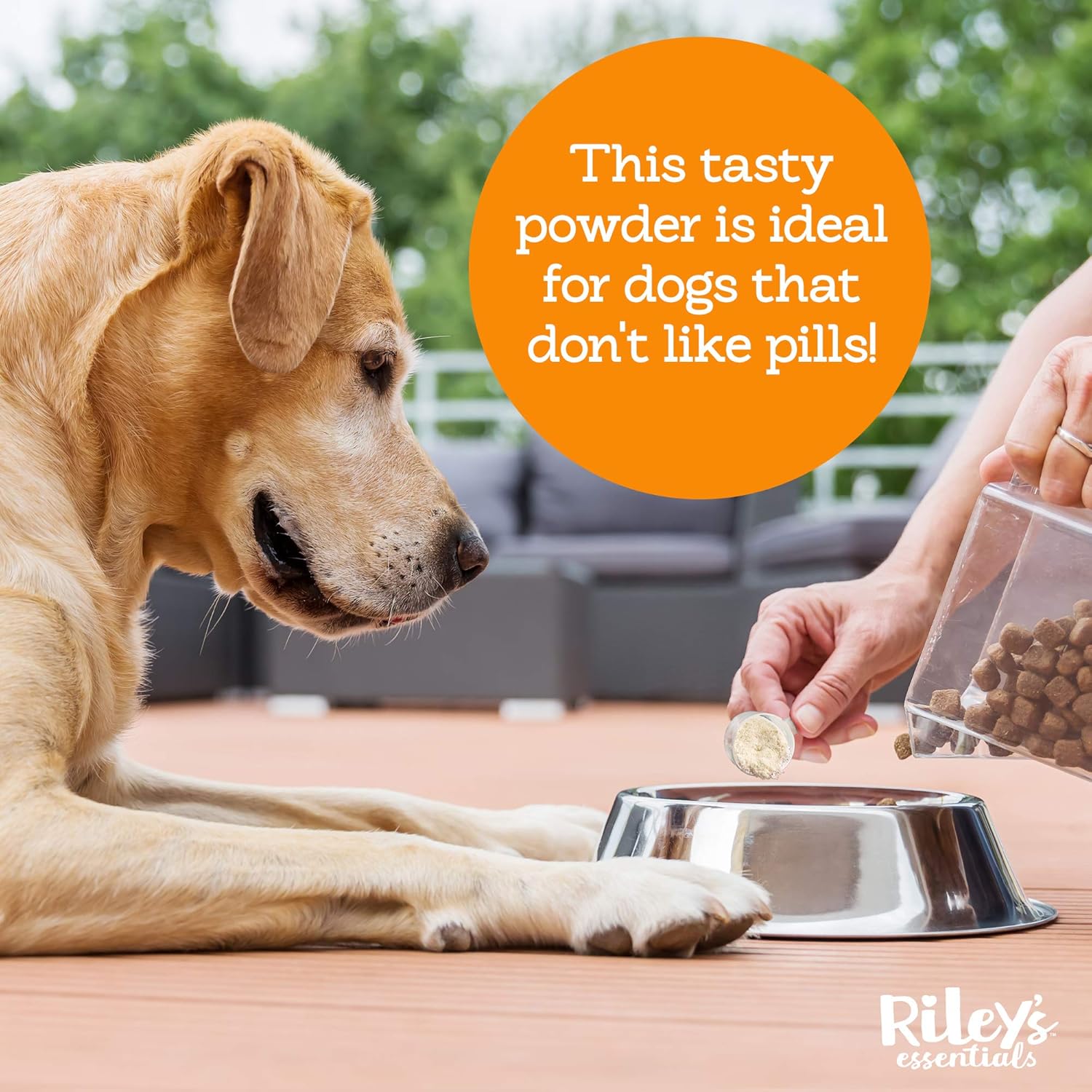 Nutritional Support Powder for Dogs with Vitamins, Minerals, Spirulina, Kelp, and Milk Thistle - Puppy and Senior Dog Multivitamin - 8oz
