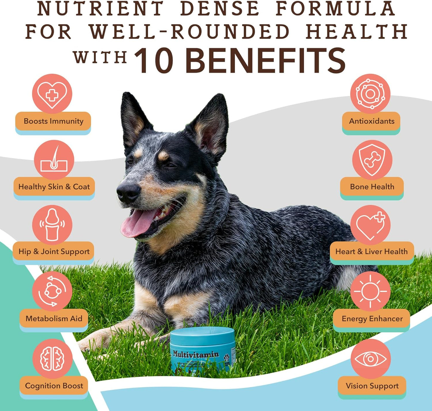 Nutritious Dog Vitamins: Natural Multivitamin Chews (90 pcs) with Peanut Butter & Bacon Flavor, Supports Immune System & Antioxidant, All Ages & Breeds