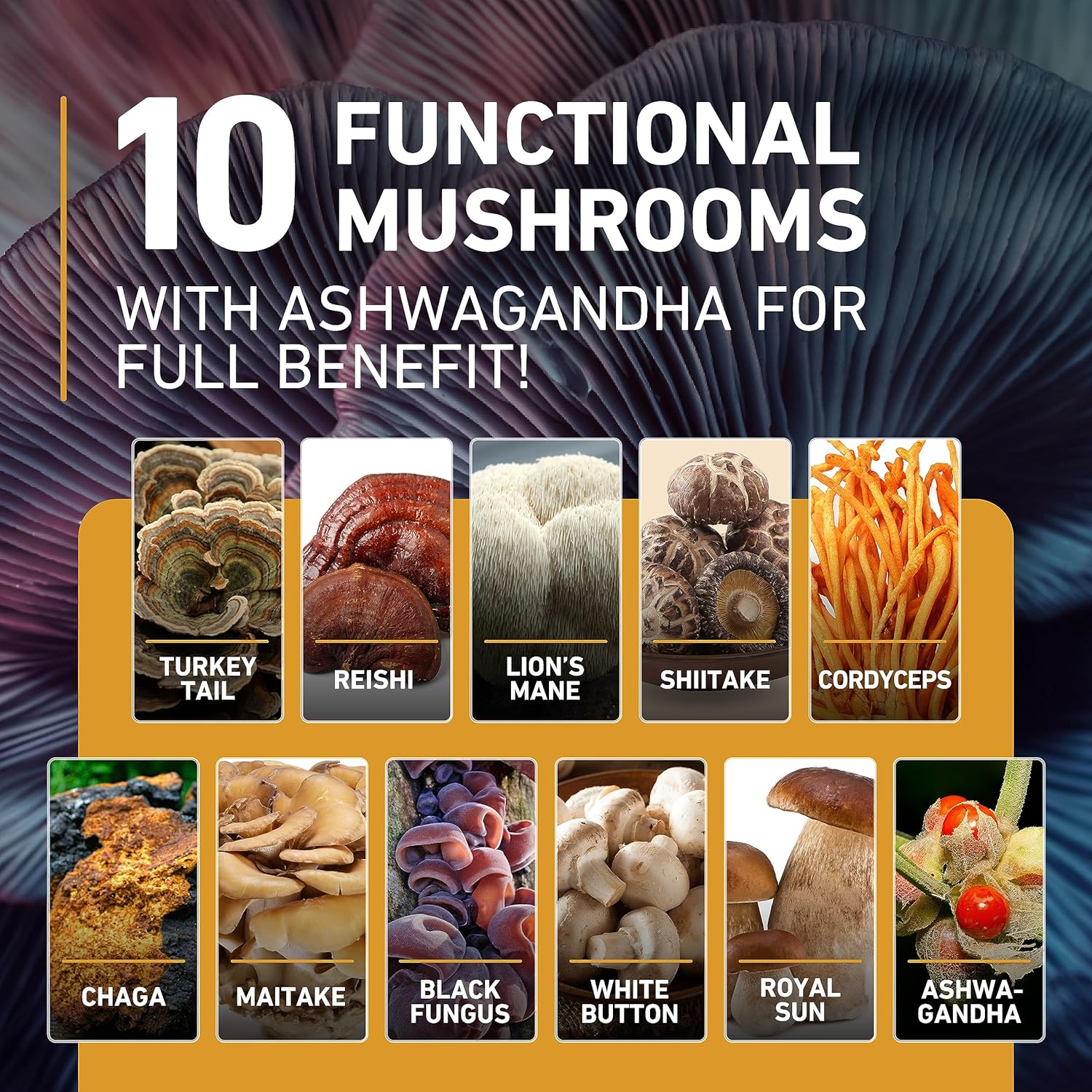 nutriyum Mushroom Gummies - Immune, Energy, & Cognitive Support Blend with Lions Mane, Ashwagandha, and More - 120 pcs