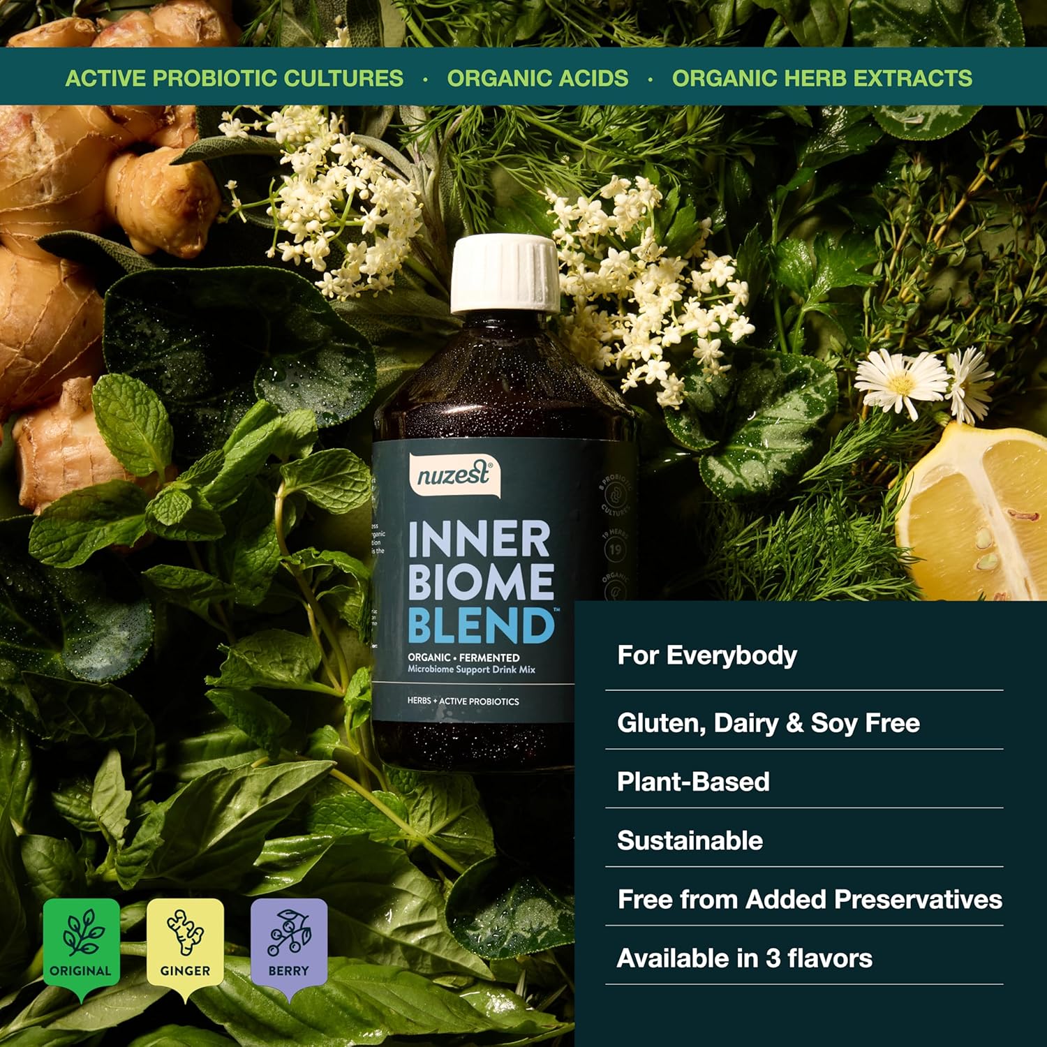 Nuzest Inner Biome Blend Liquid Drink Mix - Microbiome Support with Prebiotic, Probiotic & Postbiotic - 8 Cultures, 19 Herbs - Vegan & Organic - Original Flavour - 16.9 fl.oz/500ml
