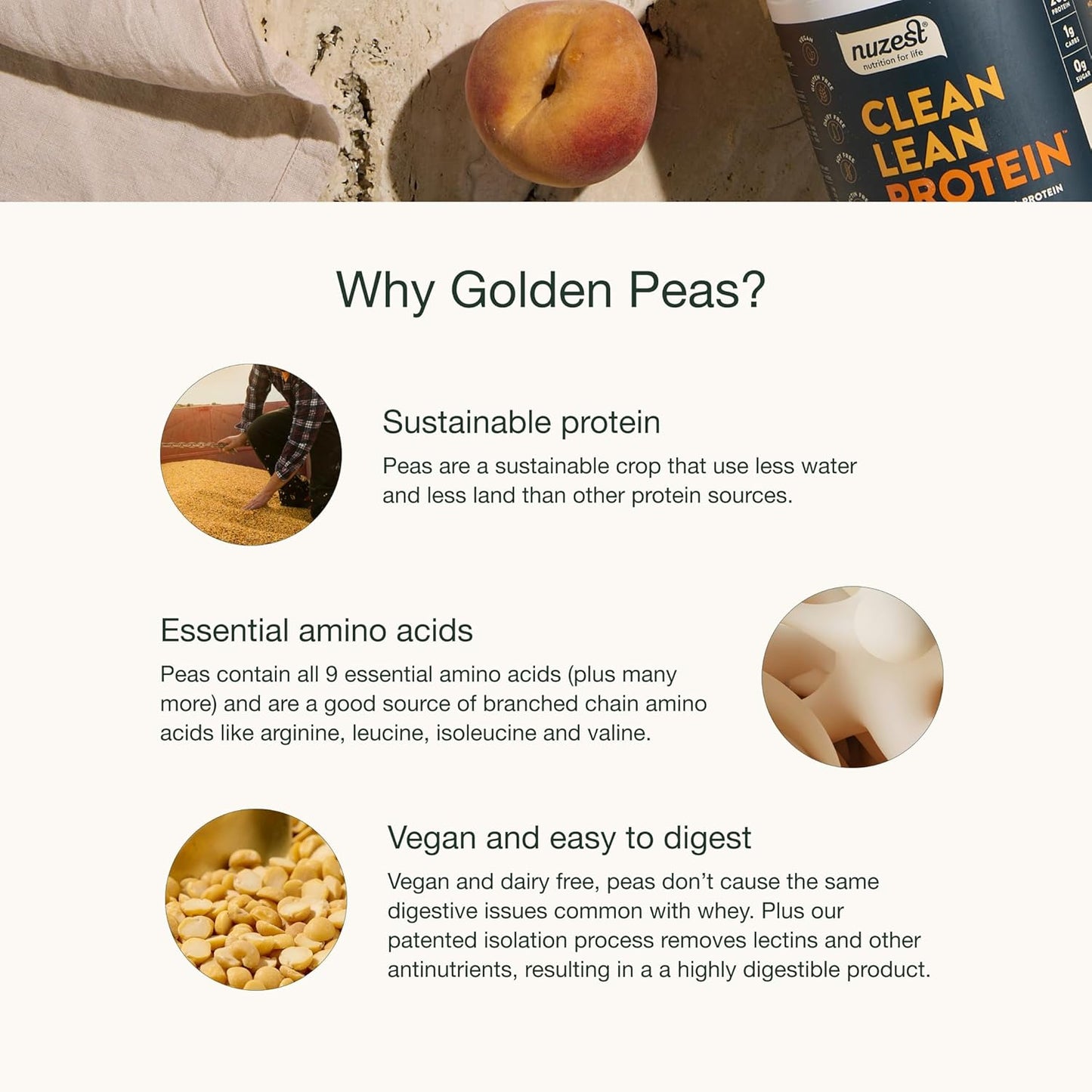 Nuzest Real Coffee Pea Protein Powder - Premium Vegan Plant Based Protein Shake, Dairy Gluten GMO Free - 20 Servings 1.1 lb