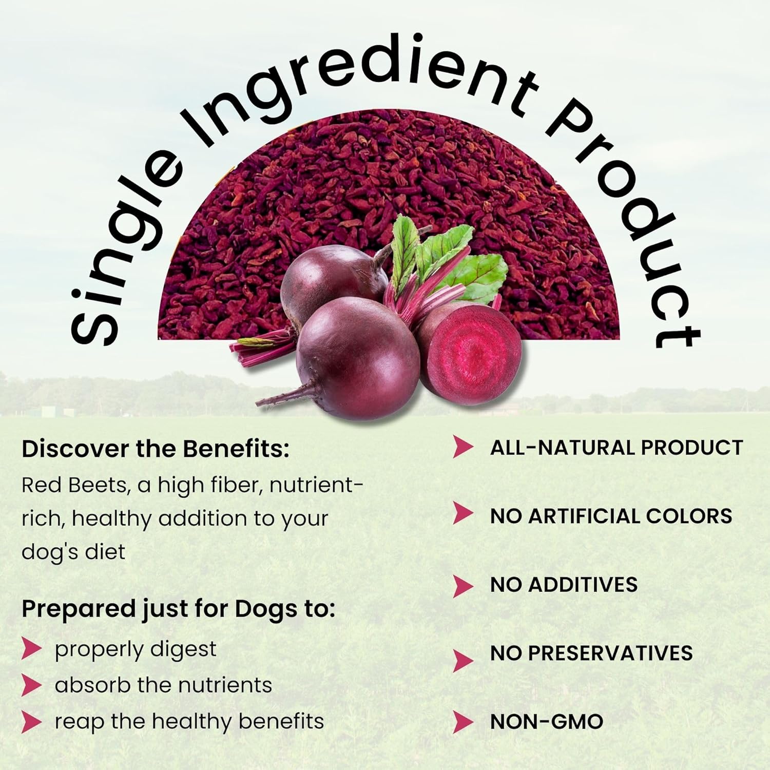 Olewo Original Red Beet Powder for Dogs - All-Natural Anti-Itch, Immune Support, Skin & Coat Health, Dog Food Topper, 1 lb