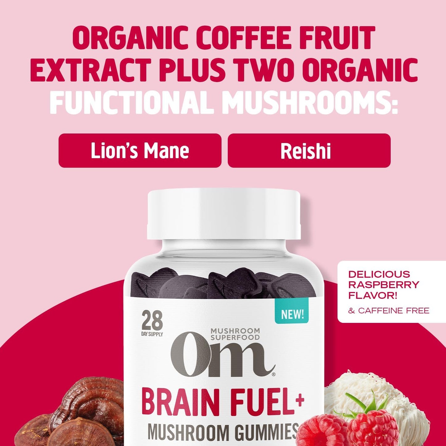OM Mushroom Superfood Brain Fuel+ Gummies - Memory & Focus Support with Lion's Mane & Reishi - Raspberry Supplements, 28 Servings