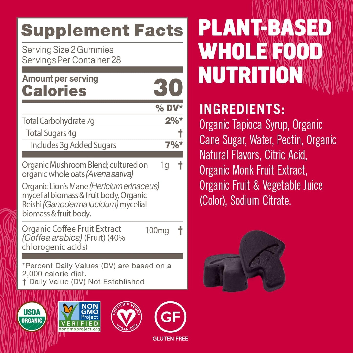 OM Mushroom Superfood Brain Fuel+ Gummies - Memory & Focus Support with Lion's Mane & Reishi - Raspberry Supplements, 28 Servings