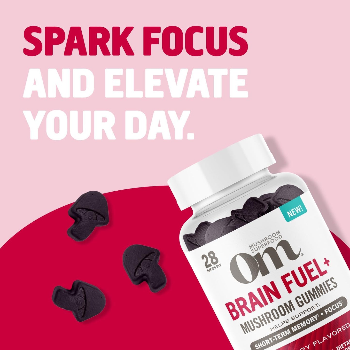 OM Mushroom Superfood Brain Fuel+ Gummies - Memory & Focus Support with Lion's Mane & Reishi - Raspberry Supplements, 28 Servings