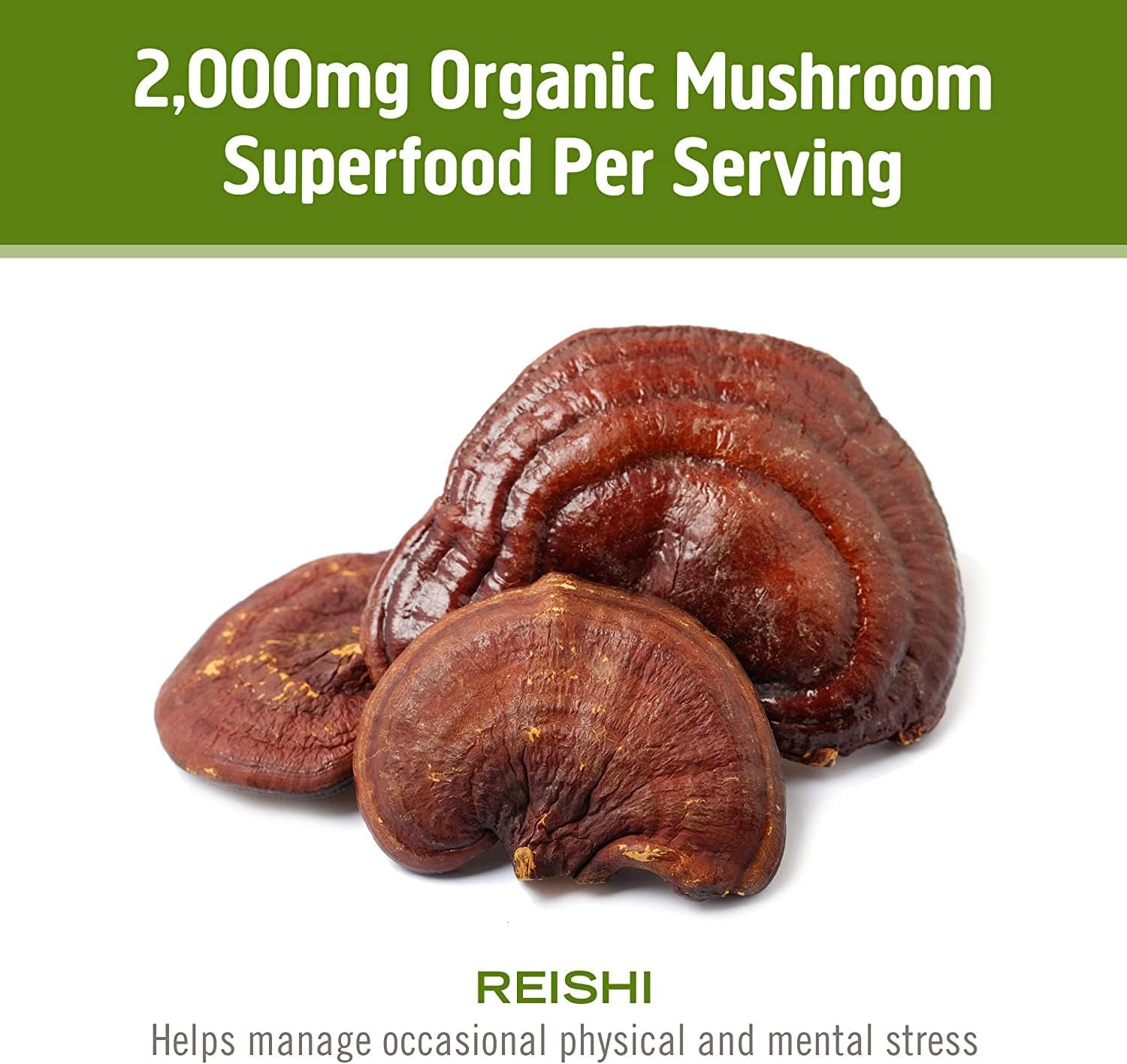 OM Mushroom Superfood Reishi Capsules - Stress & Immune Support Supplement, 90 Count