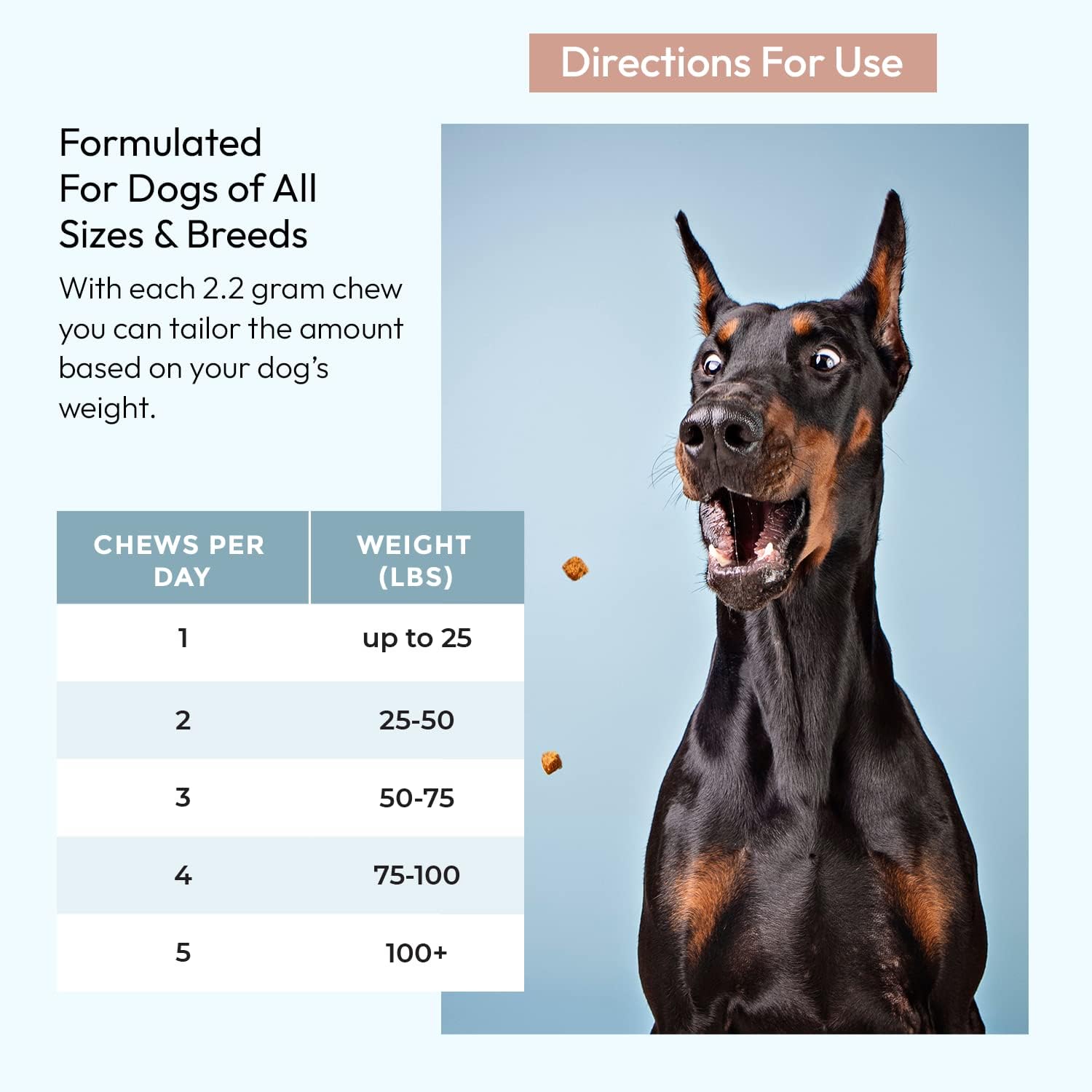 Omega 3-6-9 Dog Skin and Coat Supplement Soft Chews with Fish Oil for Healthy Coat, Itchy Skin Relief - 120 Count