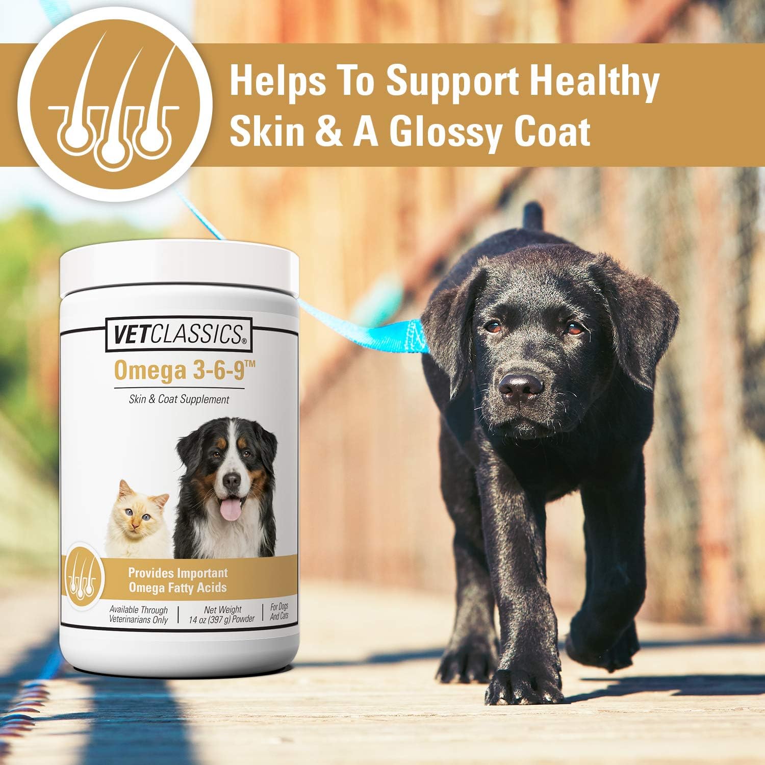 Omega 3-6-9 Pet Skin & Coat Supplement Powder for Cats & Dogs - Promotes Healthy Skin & Glossy Coats - 14 Oz Omega Fatty Acids Powder