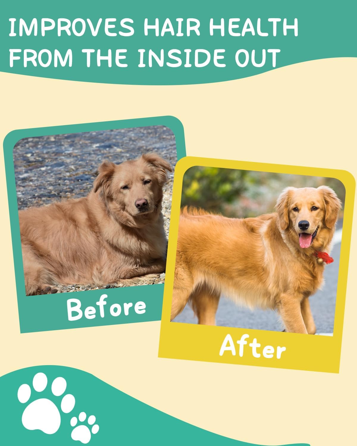 Omega 3 Dog Skin and Coat Supplement with EPA & DHA Fatty Acids - Itchy Skin Relief - Chicken Flavor, 120 Chews