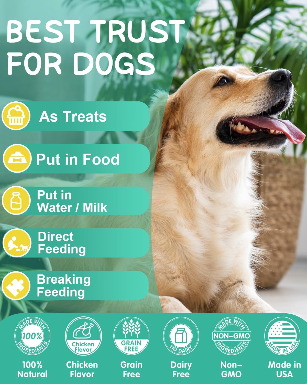 Omega 3 Dog Skin and Coat Supplement with EPA & DHA Fatty Acids - Itchy Skin Relief - Chicken Flavor, 120 Chews