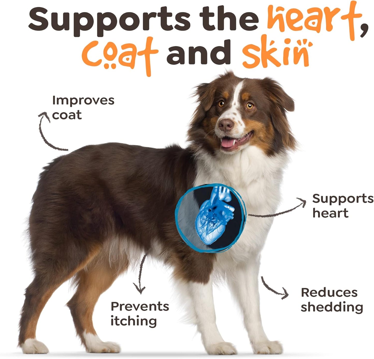 Omega 3 Fish Oil Chews for Dogs - Natural Pet Food with Salmon Oil, Supports Skin & Coat Health, Reduces Itching, Allergy Relief - 90 Dog Treats