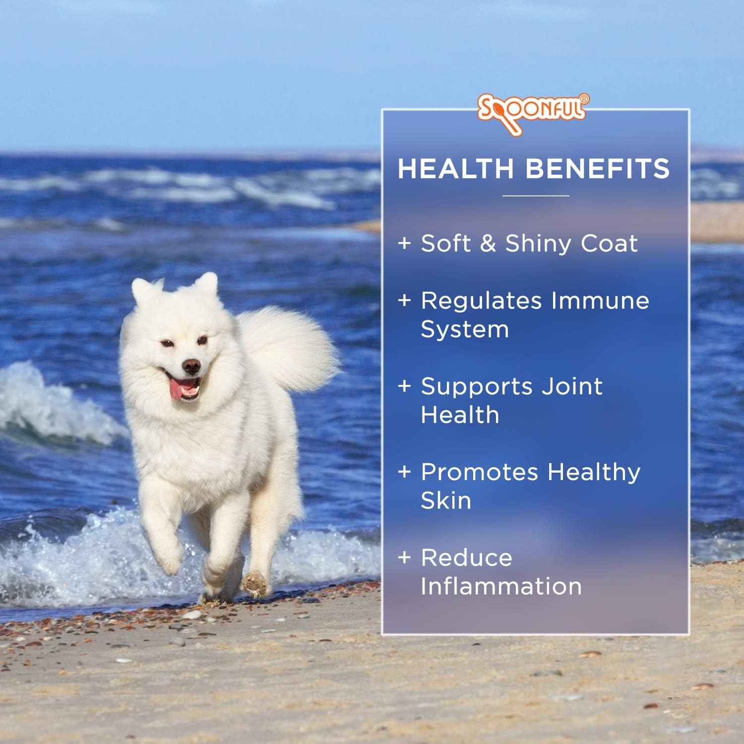 Omega 3 Fish Oil Softgels for Dogs and Cats, USA-Made Supplement for Skin, Joints, Heart, and Brain Health