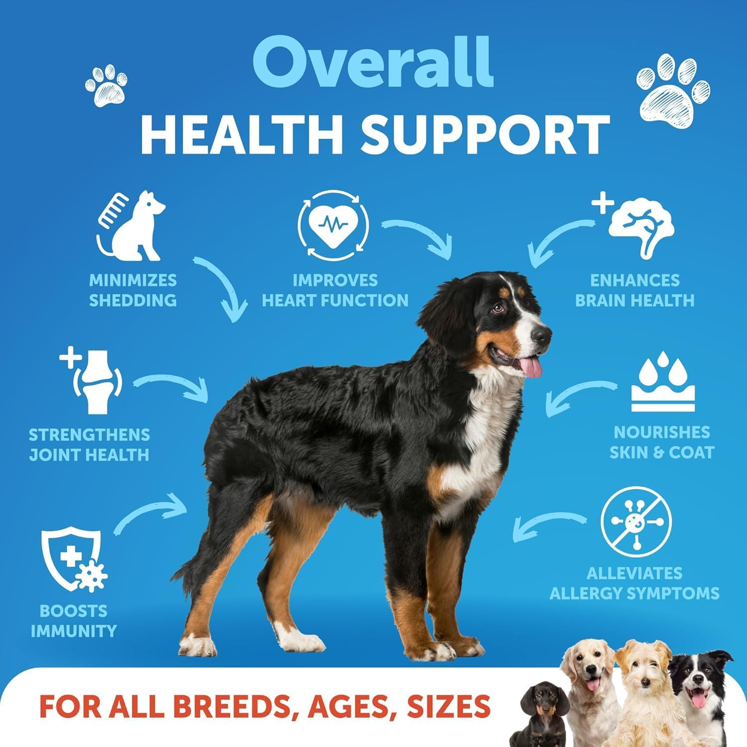 Omega 3 Fish Oil Supplement for Dogs - Skin & Coat Defense - Allergy Relief - High EPA & DHA - Joint & Bone Health - 8 FL OZ