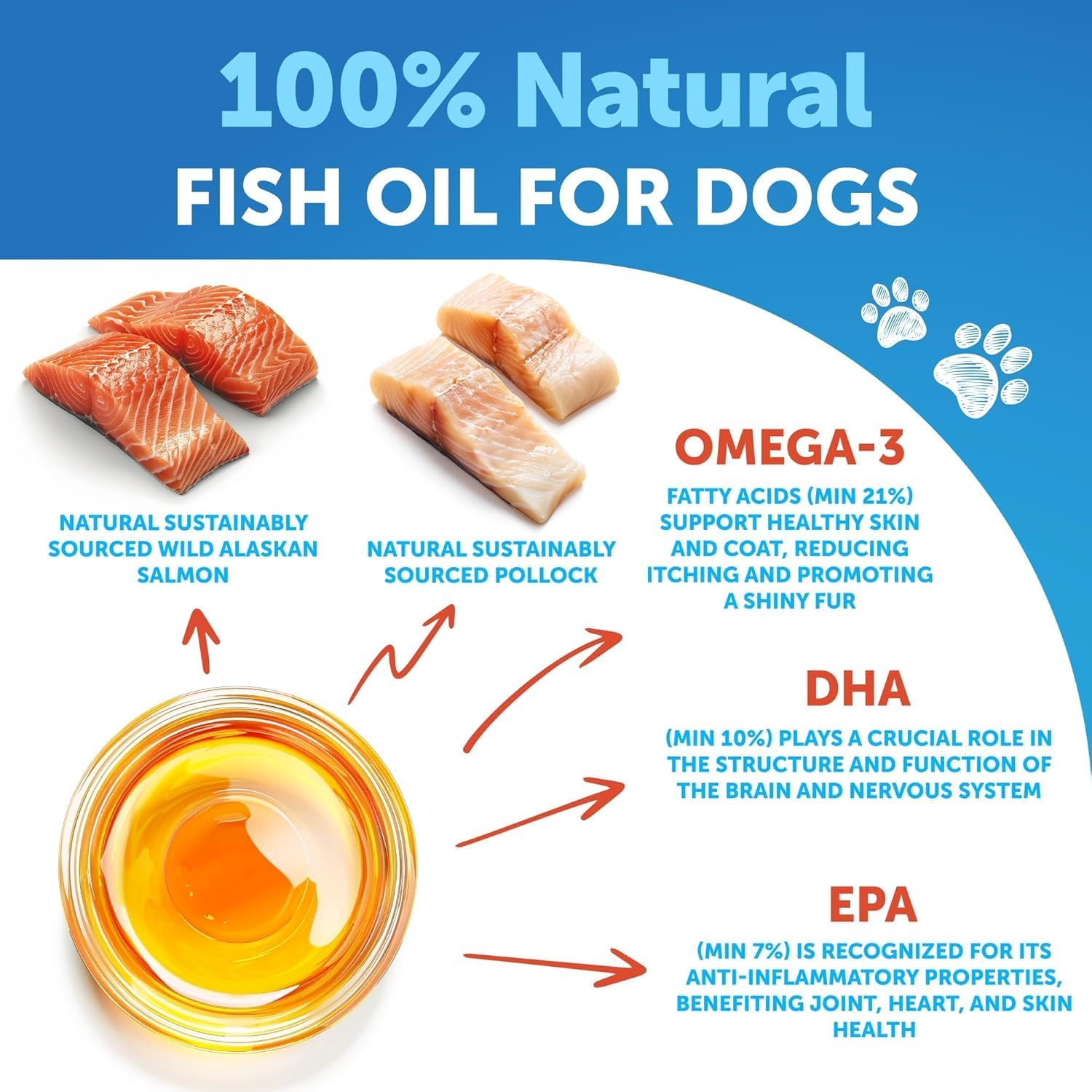 Omega 3 Fish Oil Supplement for Dogs - Skin & Coat Defense - Allergy Relief - High EPA & DHA - Joint & Bone Health - 8 FL OZ