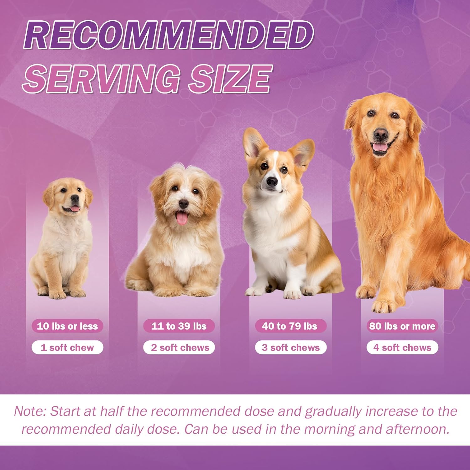 Omega 3 Fish Oil Supplement for Dogs - Skin & Coat Health, Allergy Relief, Shedding Reduction - EPA & DHA Fatty Acids - Salmon Oil - 200 Ct