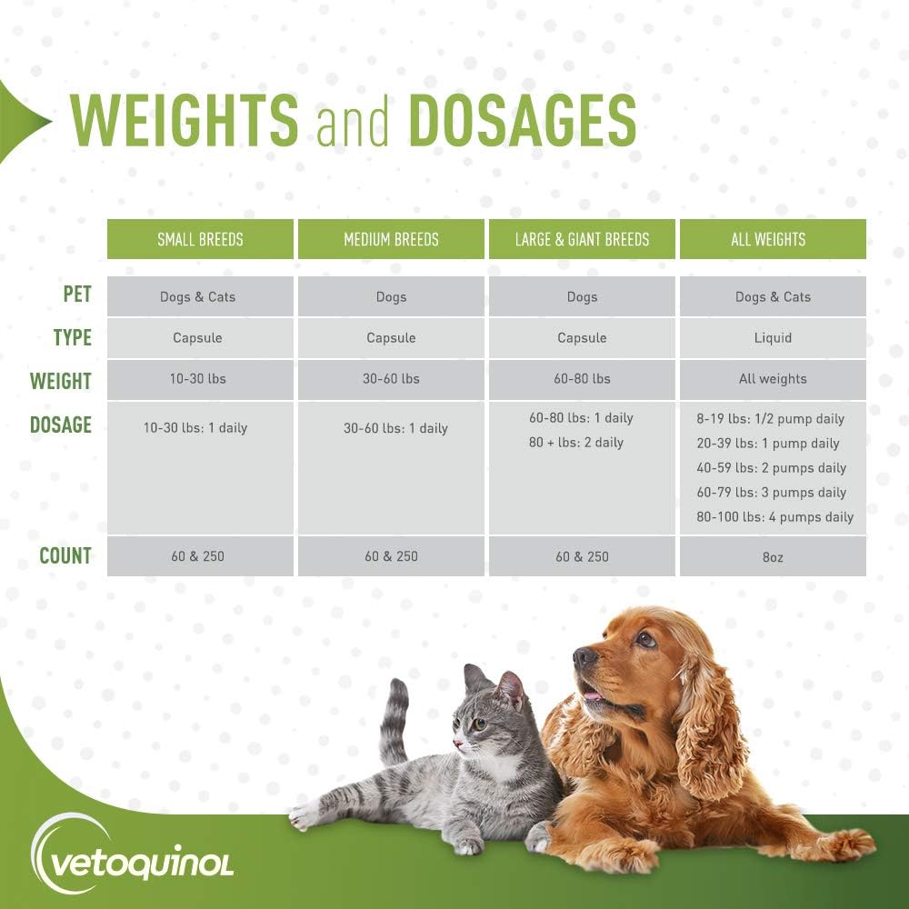 Omega 3 Fish Oil Supplement for Large Dogs 60lbs+, 60ct - Promotes Skin, Coat, Joint & Immune Health - Dog Fish Oil with EPA & DHA by Vetoquinol