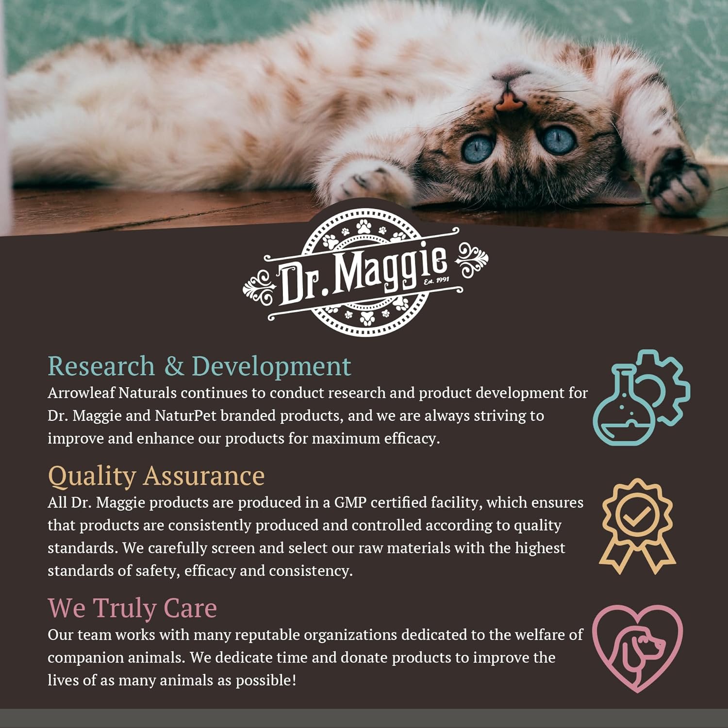 Omega 3 Fish Oil Supplement for Skin and Coat Health | Dr. Maggie | 240 ml