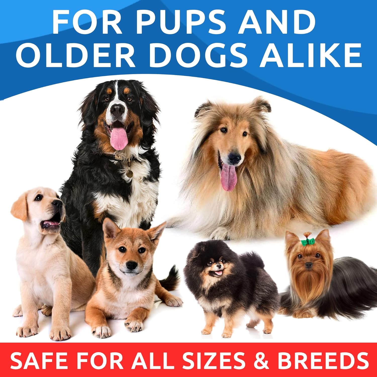Omega 3 Fish Oil Treats for Dogs - 180 Soft Chews for Shedding, Allergies, Itch Relief, Hot Spots - Joint & Skin Health - EPA & DHA Fatty Acids - Salmon Oil Supplement