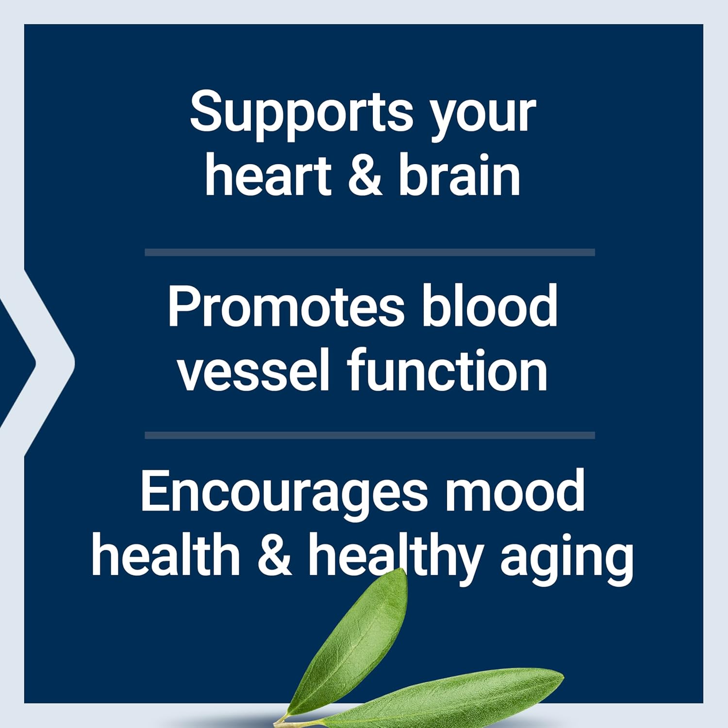 Omega-3 Fish Oil with Sesame Lignans & Olive Extract for Heart, Brain, and Inflammation Health - 120 Softgels, Gluten-Free, Non-GMO, Enteric-Coated