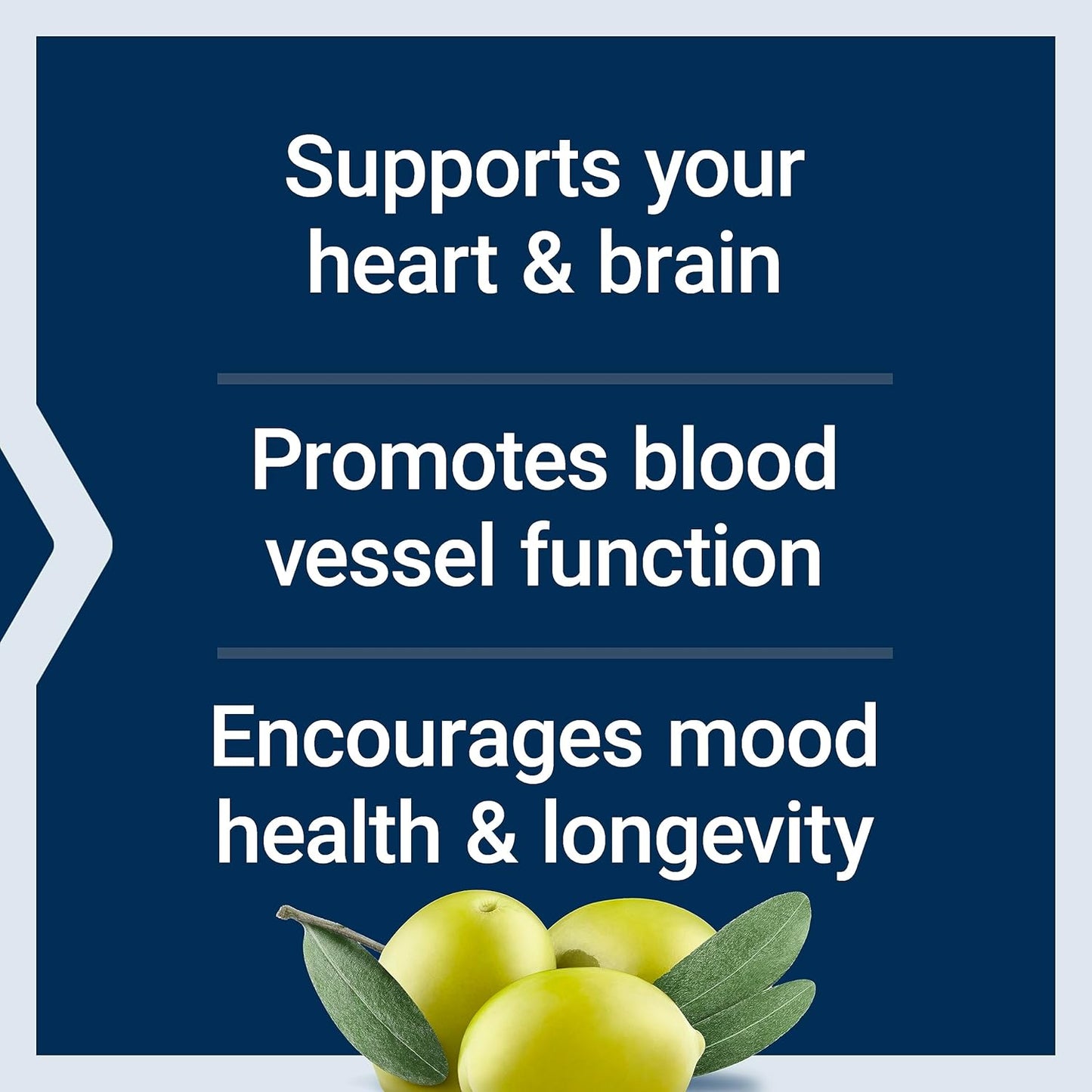 Omega-3 Fish Oil with Sesame, Olive Extract, Multi-Vitamin, and Minerals - 120 Softgels & 120 Tablets by Life Extension