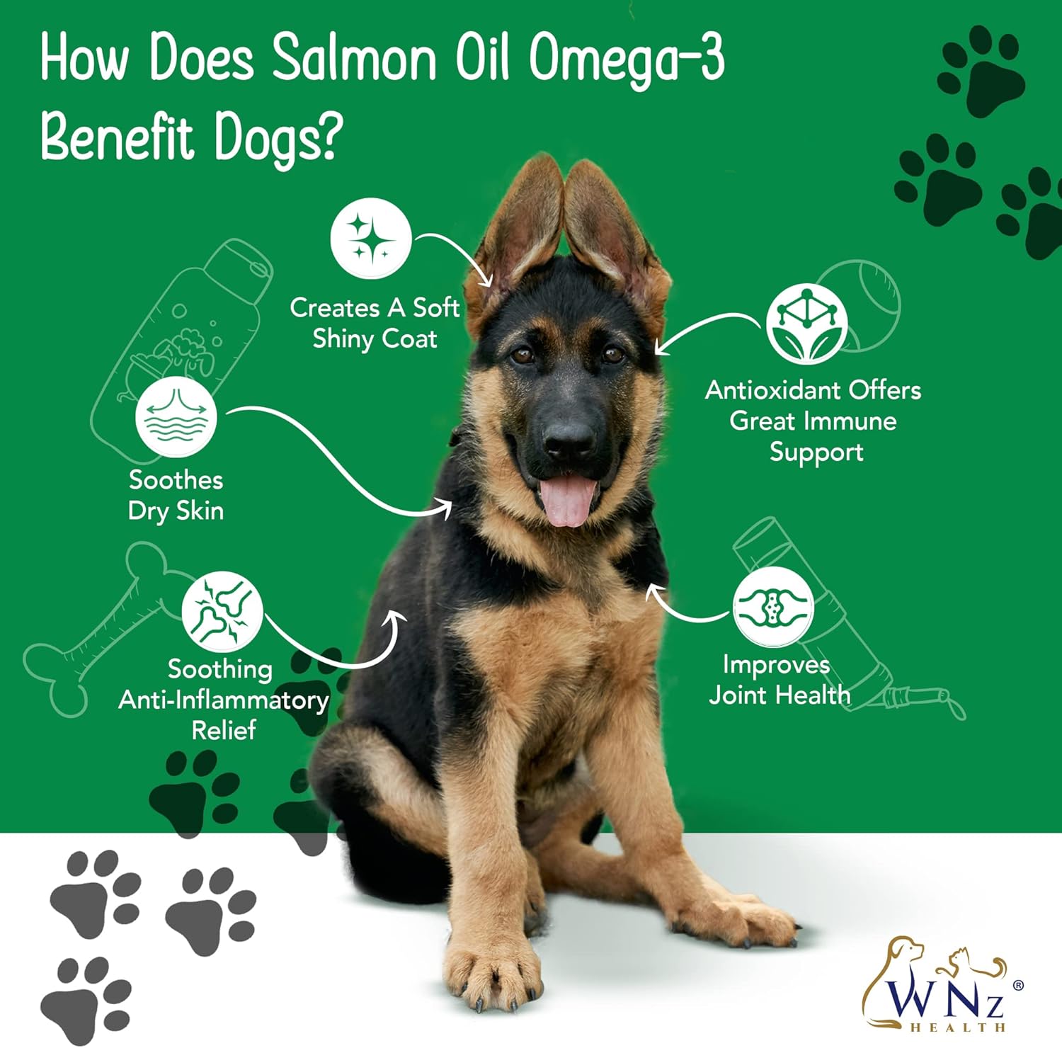 Omega 3 Skin and Coat Chews for Dogs - Salmon Oil Supplement for Joint Pain, Immune Support - Chewable Treats for Itchy Skin Relief - 55 Chews, 8 Oz