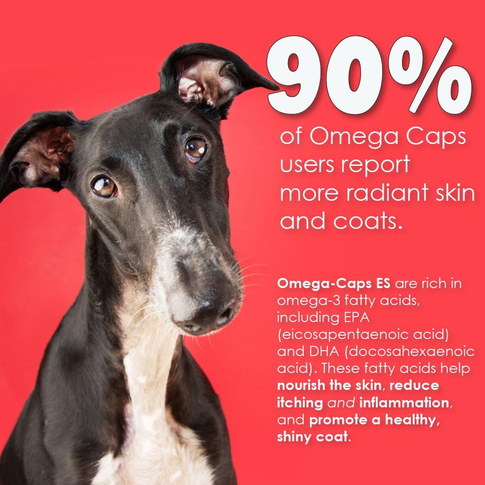 Omega-Caps ES for Large & Giant Dogs - Support Immune System, Joints, Heart, and Brain - 250 Softgel Capsules for Pet Health