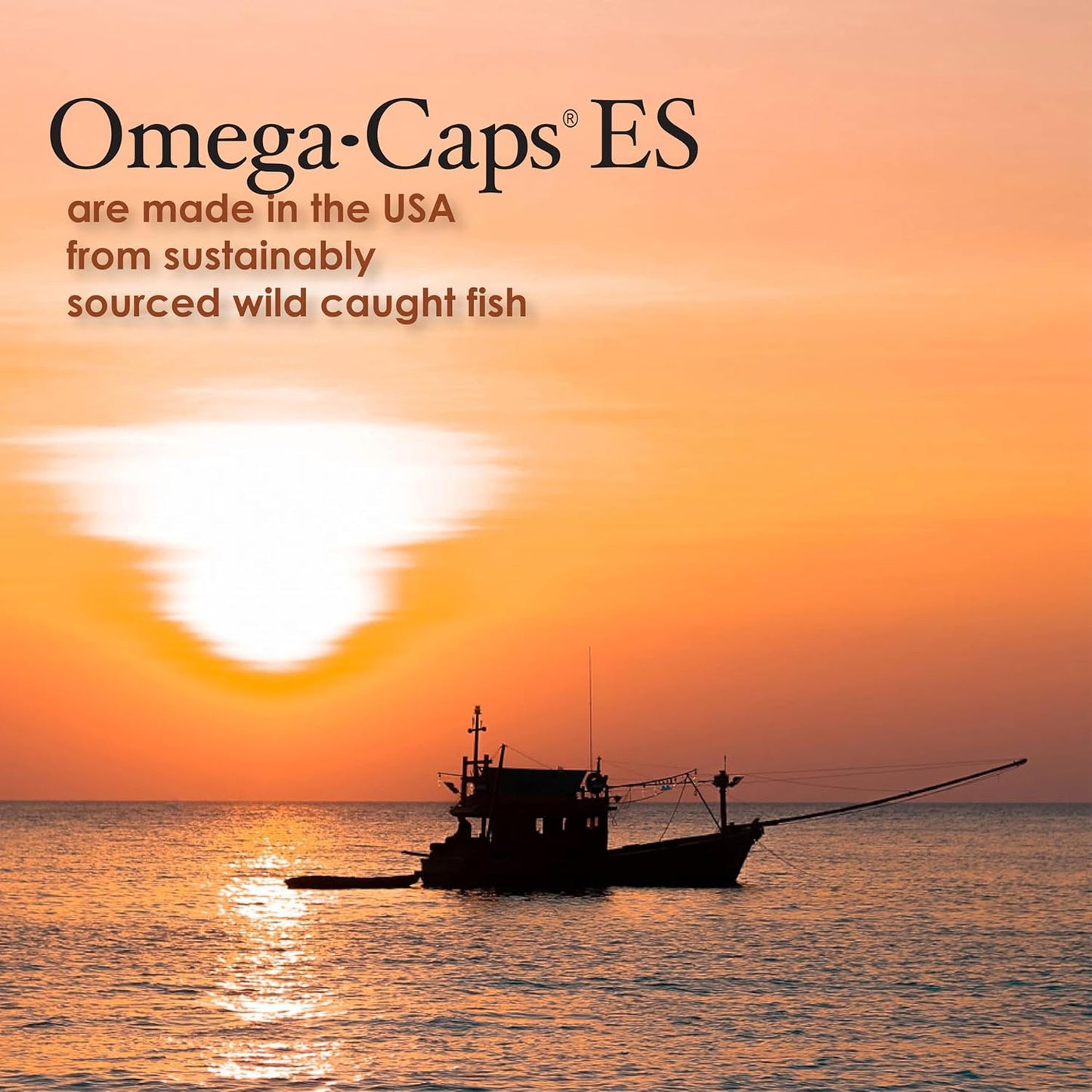 Omega-Caps ES for Large & Giant Dogs - Support Immune System, Joints, Heart, and Brain - 250 Softgel Capsules for Pet Health