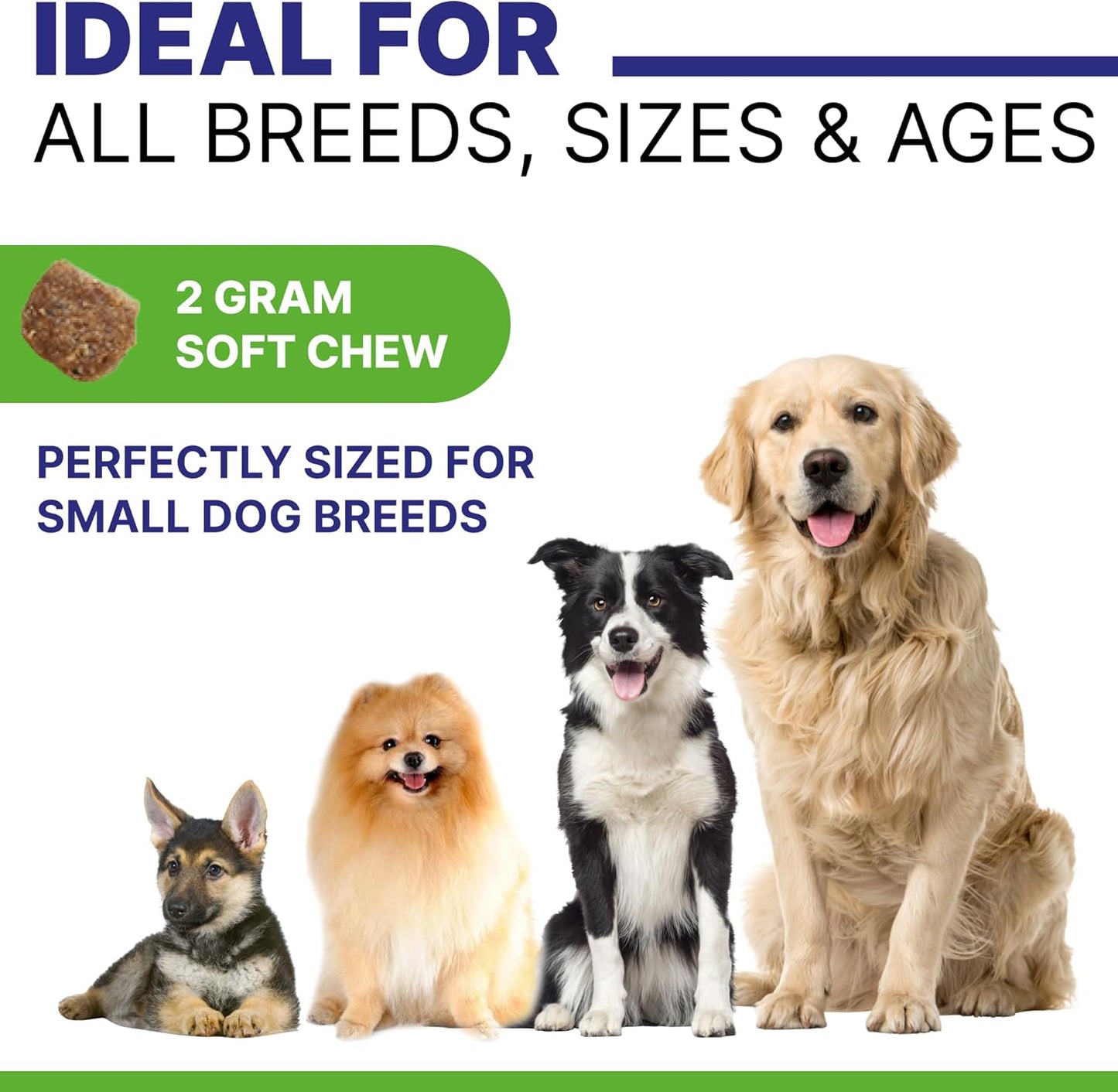 Omega Fish Oil Dog Chews with Probiotics for Allergy Relief & Healthy Skin & Coat