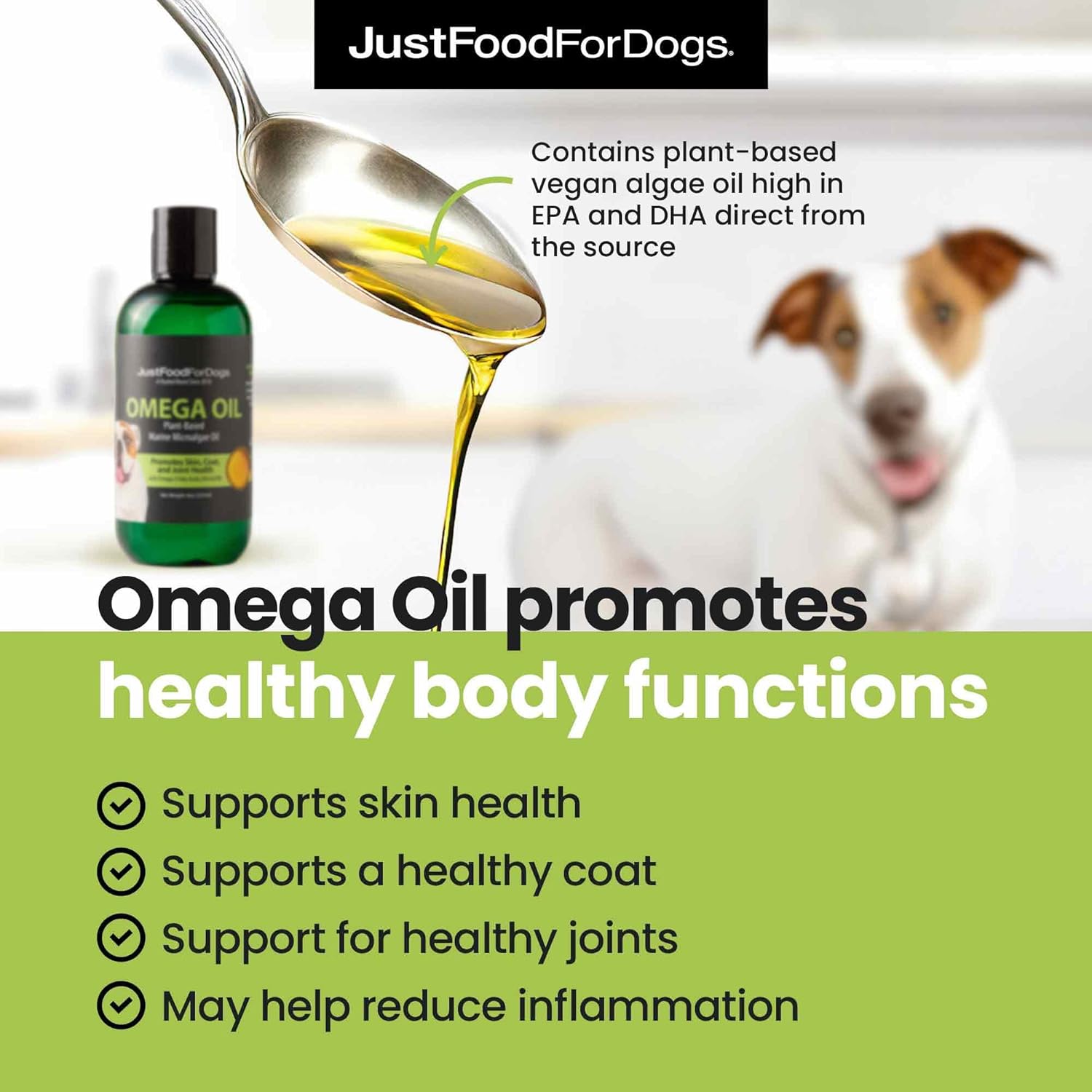 Omega Plus Oil: 8 oz Supplement for Dogs, Skin & Coat Health, Joint Support, EPA & DHA from Algae Oil - Eco-Friendly & Sustainable