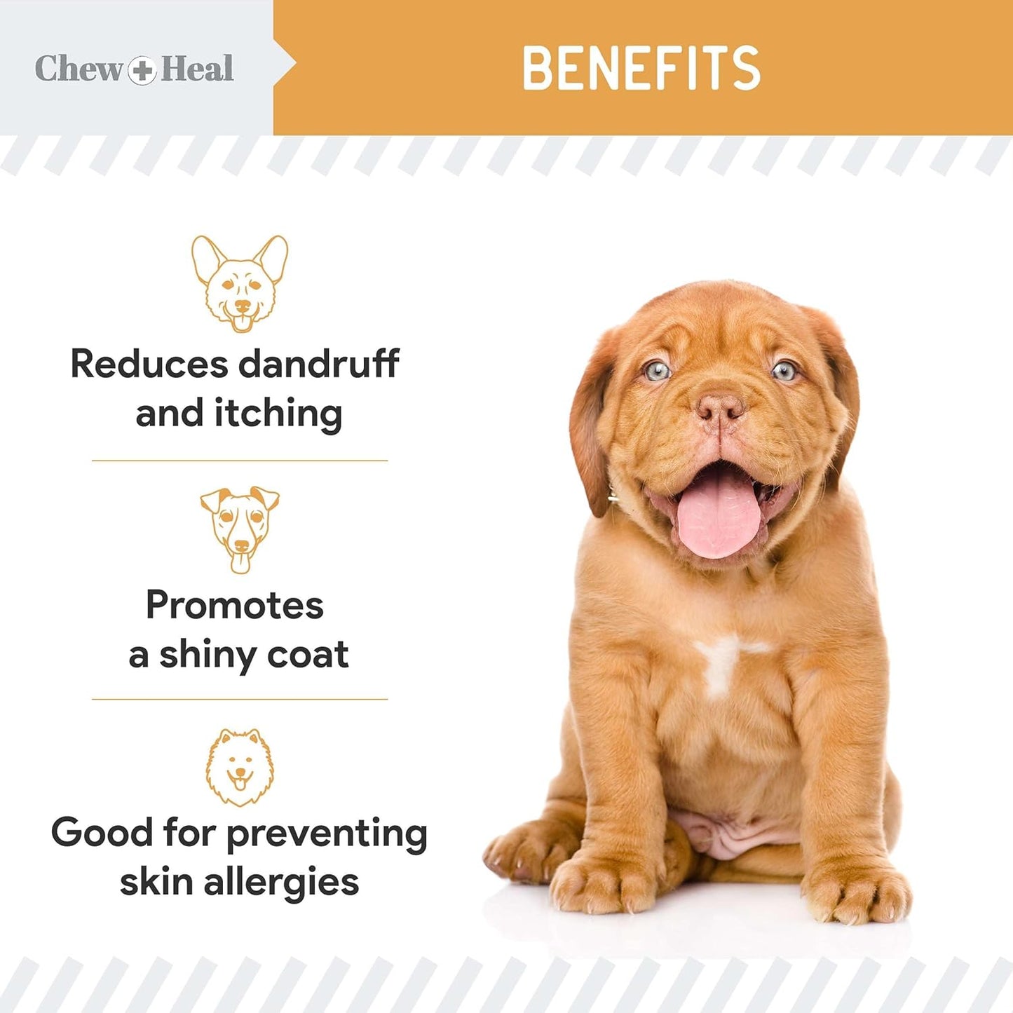 Omega-Rich Salmon Oil Soft Chews for Dogs - Skin & Coat Support Treats with Essential Fatty Acids, Vitamins, Antioxidants - Made in USA by Chew + Heal Labs
