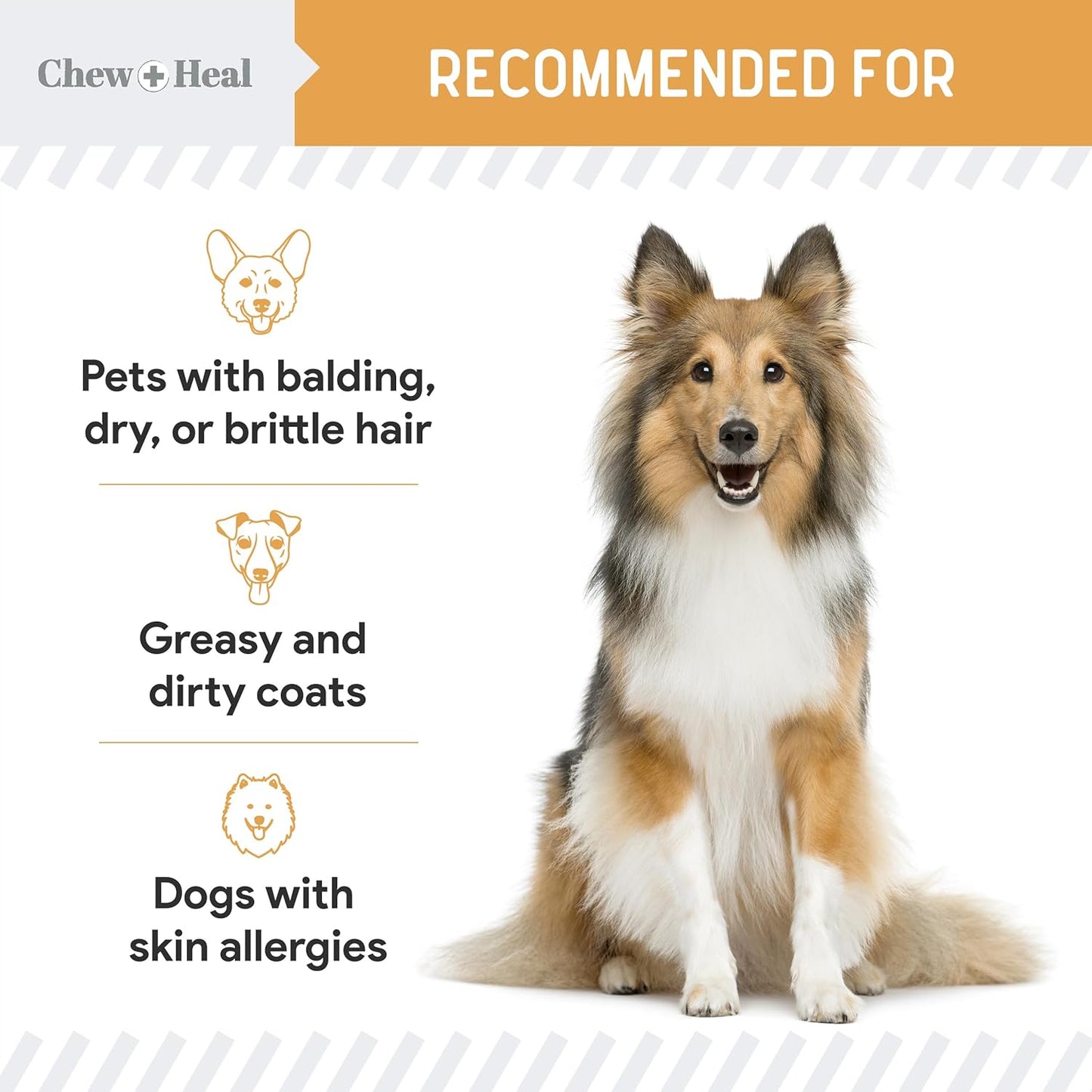 Omega-Rich Salmon Oil Soft Chews for Dogs - Skin & Coat Support Treats with Essential Fatty Acids, Vitamins, Antioxidants - Made in USA by Chew + Heal Labs