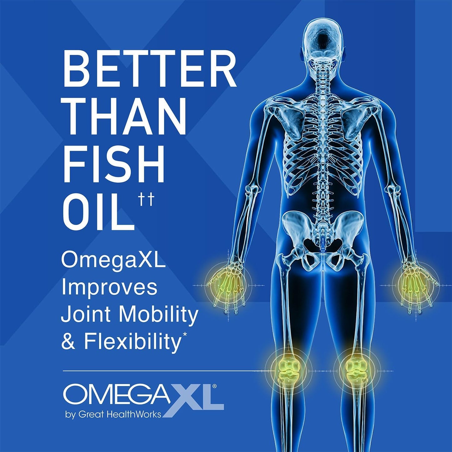 OmegaXL Joint and Muscle Support Supplement (60 Count) & TurmericXL Inflammatory Response Supplement (30 Count) for Overall Wellness