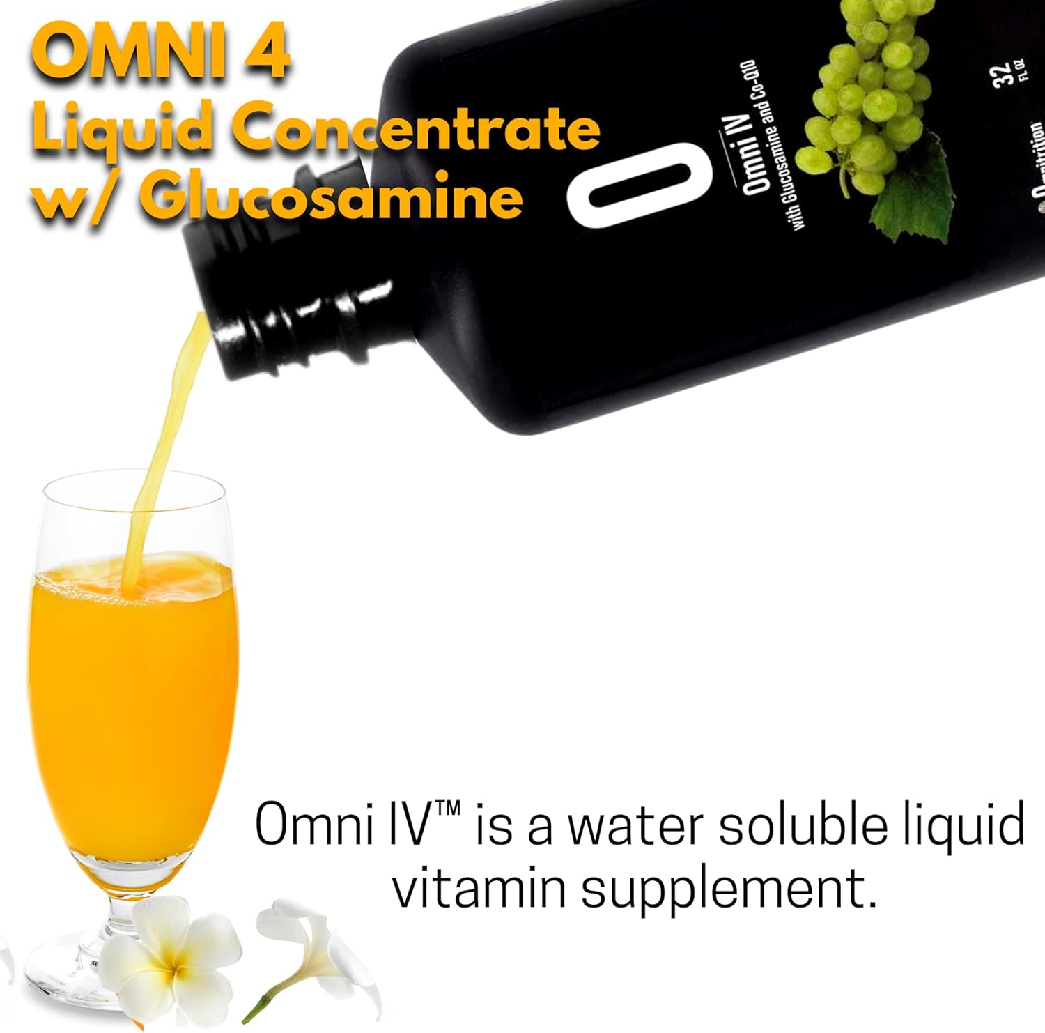 Omnitrition Omni Drop Program Bundle with B12, Program Guide, Omni IV, OmniTrim Nite Lite, Garcinia Cambogia, Samples & Carabiner