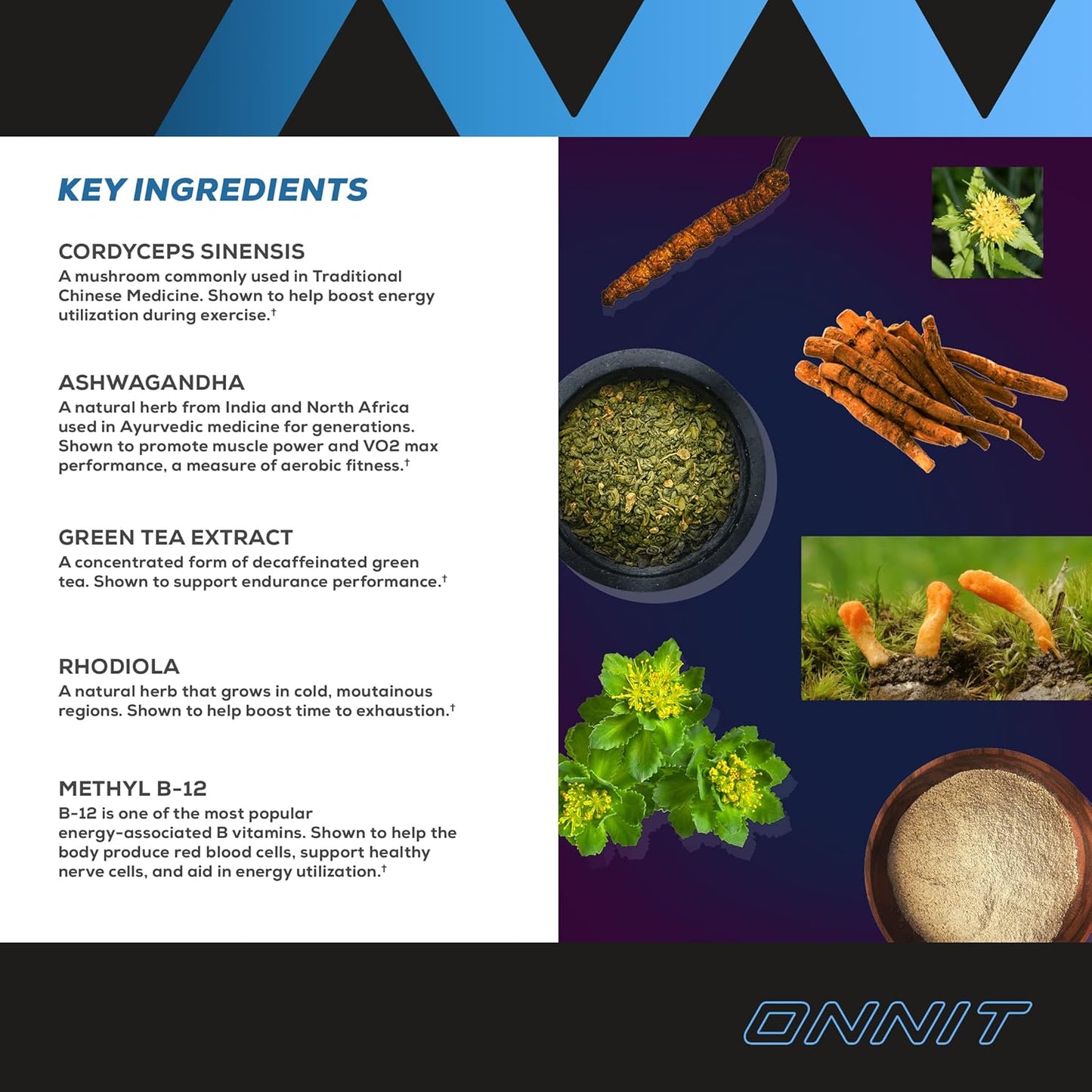 ONNIT Shroom Tech Sport: Cordyceps Mushroom Preworkout Supplement - 84ct Bottle