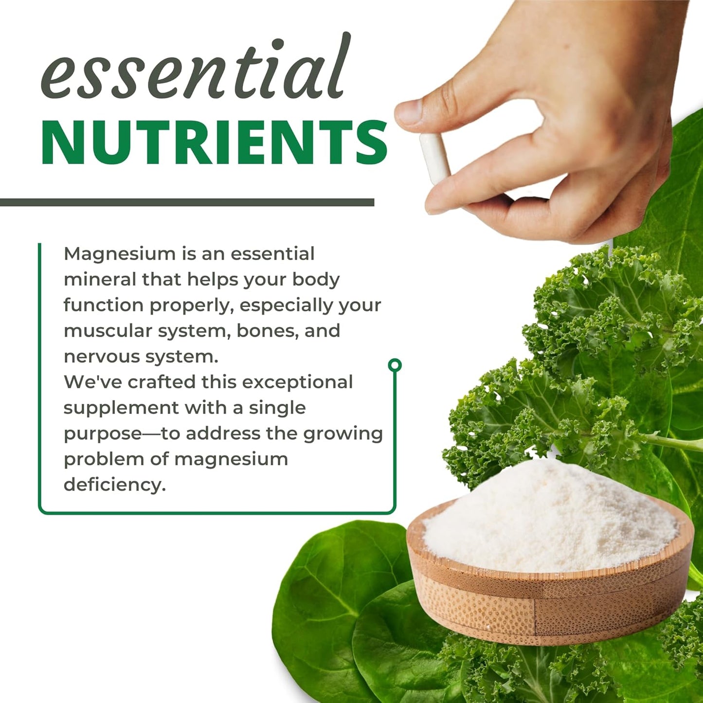 Optimal Health Systems Patented Magnesium Glycinate Capsules for Muscle, Bone, and Heart Health - 291 mg - 90 Count