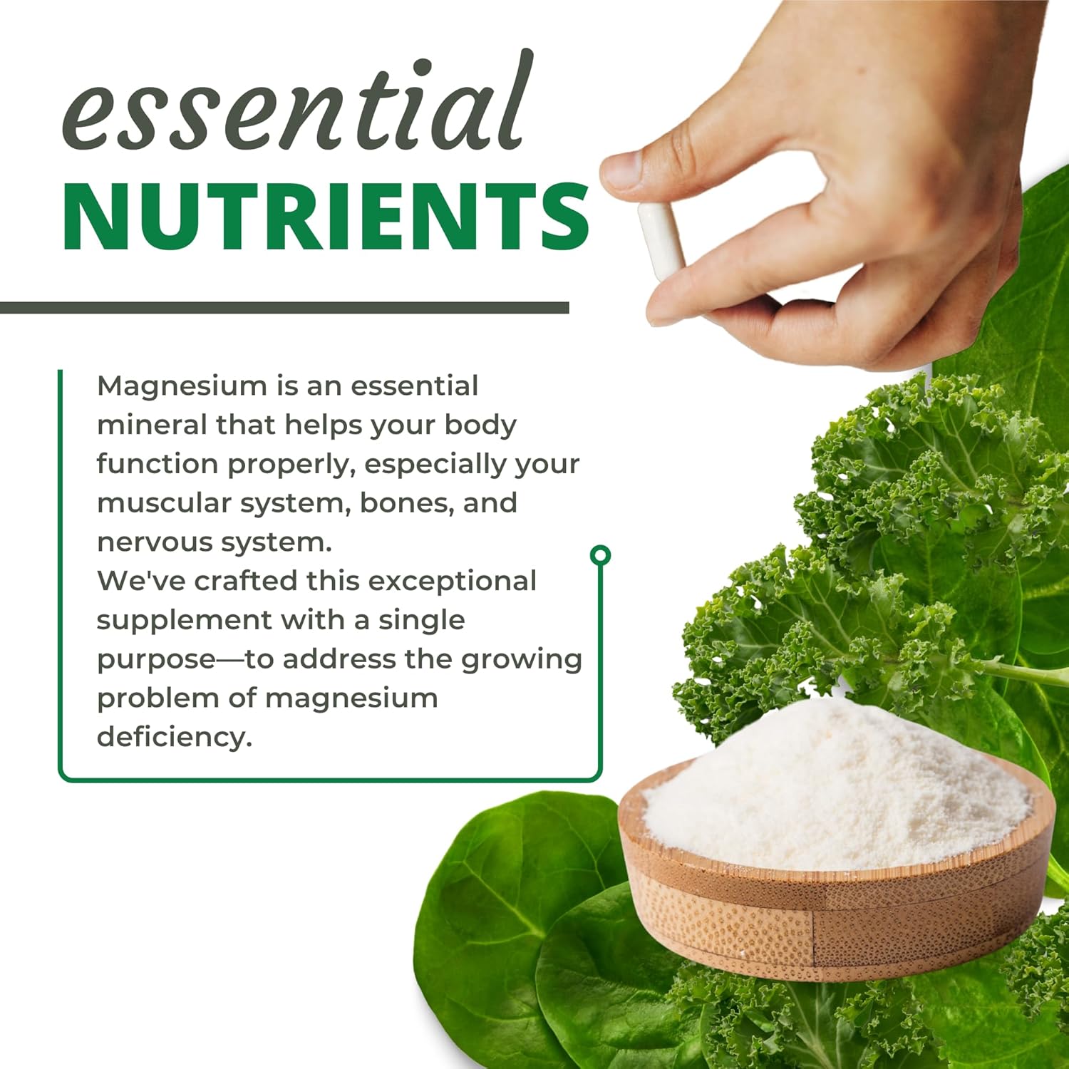 Optimal Health Systems Patented Magnesium Glycinate Capsules for Muscle, Bone, and Heart Health - 291 mg - 90 Count